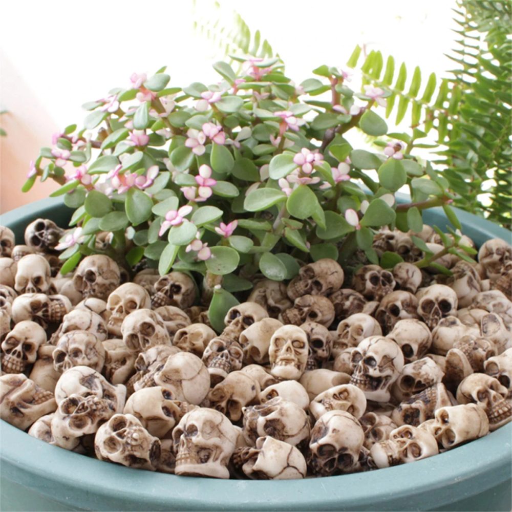 20 Stück Mini Schädel Figur sammel bare Halloween Miniatur Schädel Köpfe kreative Festival Thema Landschaft Garten Topfpflanze Dekor
