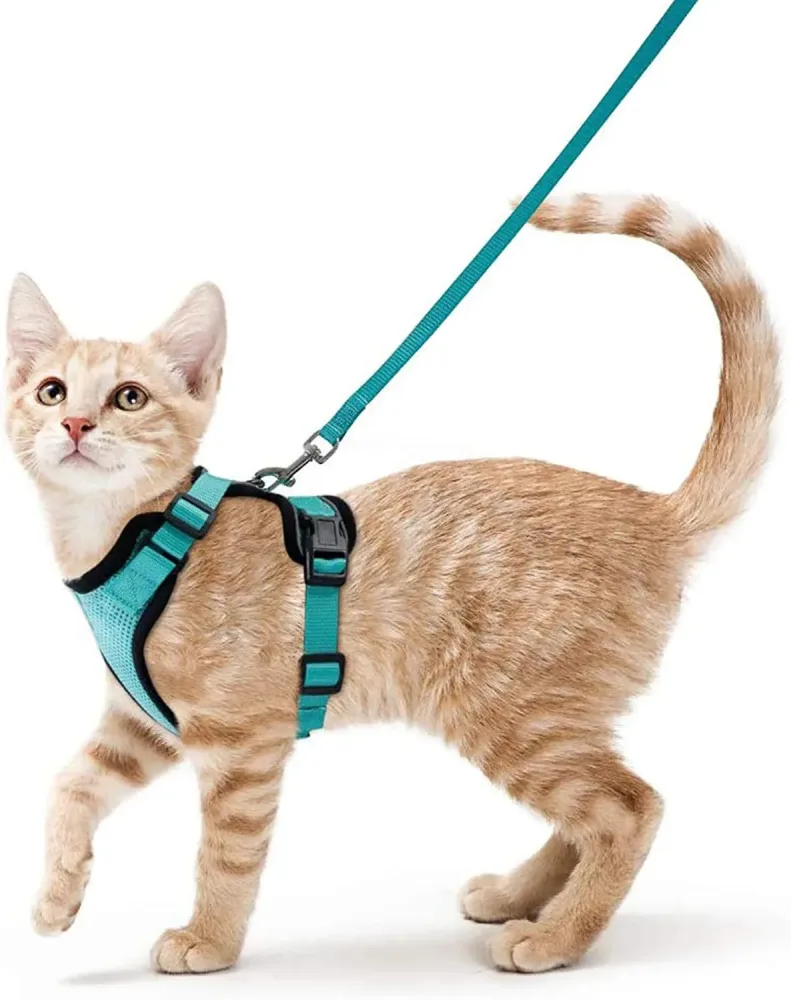 Katzengeschirr und Leine zum Spazierengehen, auslaufsichere, weiche, verstellbare Weste, Geschirre für Katzen, EasyControl