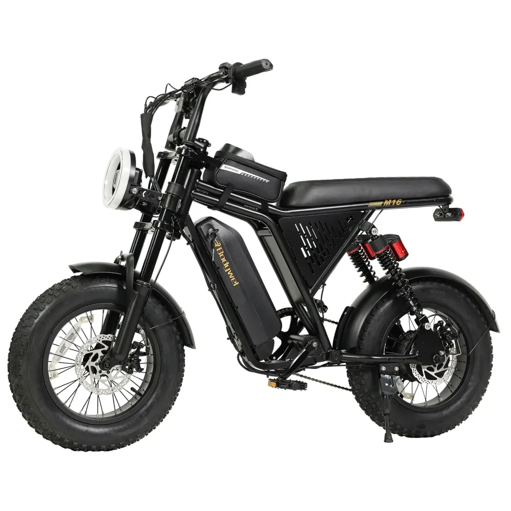 Elektrisches Mountainbike für Erwachsene, 16