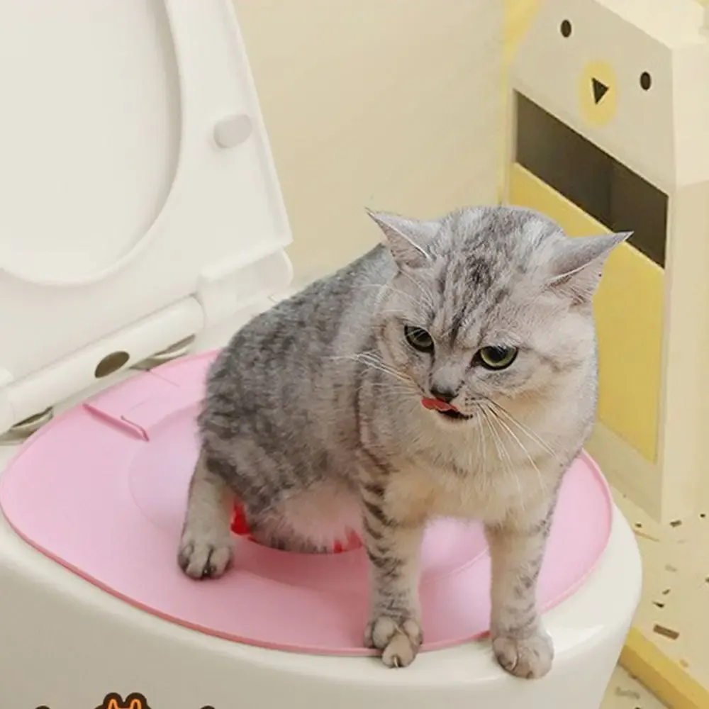 Bestes Plastik-Katzentoiletten-Trainingsset Wiederverwendbare Welpen- und Katzenstreumatte Katzentoiletten-Trainer Haustier-Reinigungsprodukt für Katzentraining