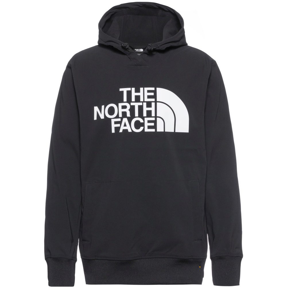 The North Face Herren Tekno Logo Hoodie