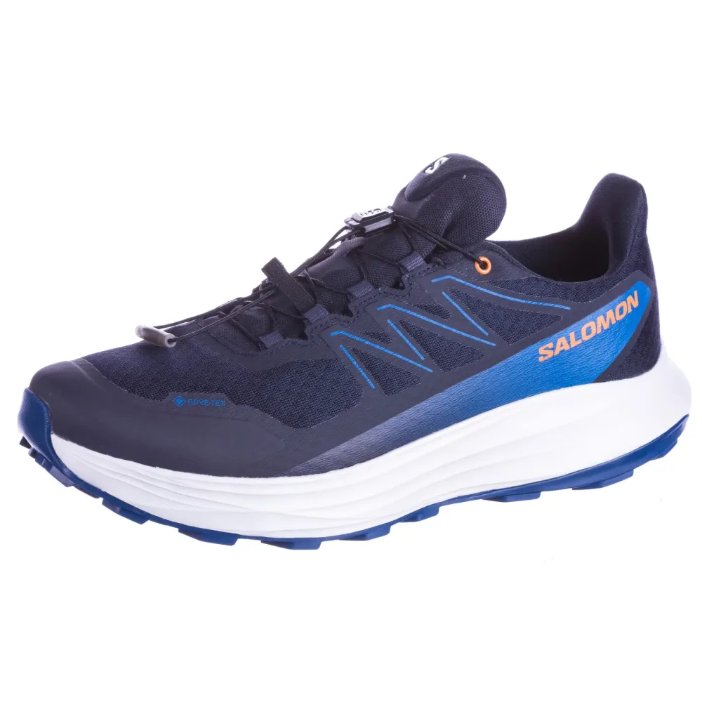 Salomon ALPHARIDE 2 GTX Laufschuhe Herren