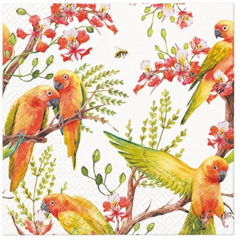 Servietten Lunch 20x Exotic birds, 33x33cm