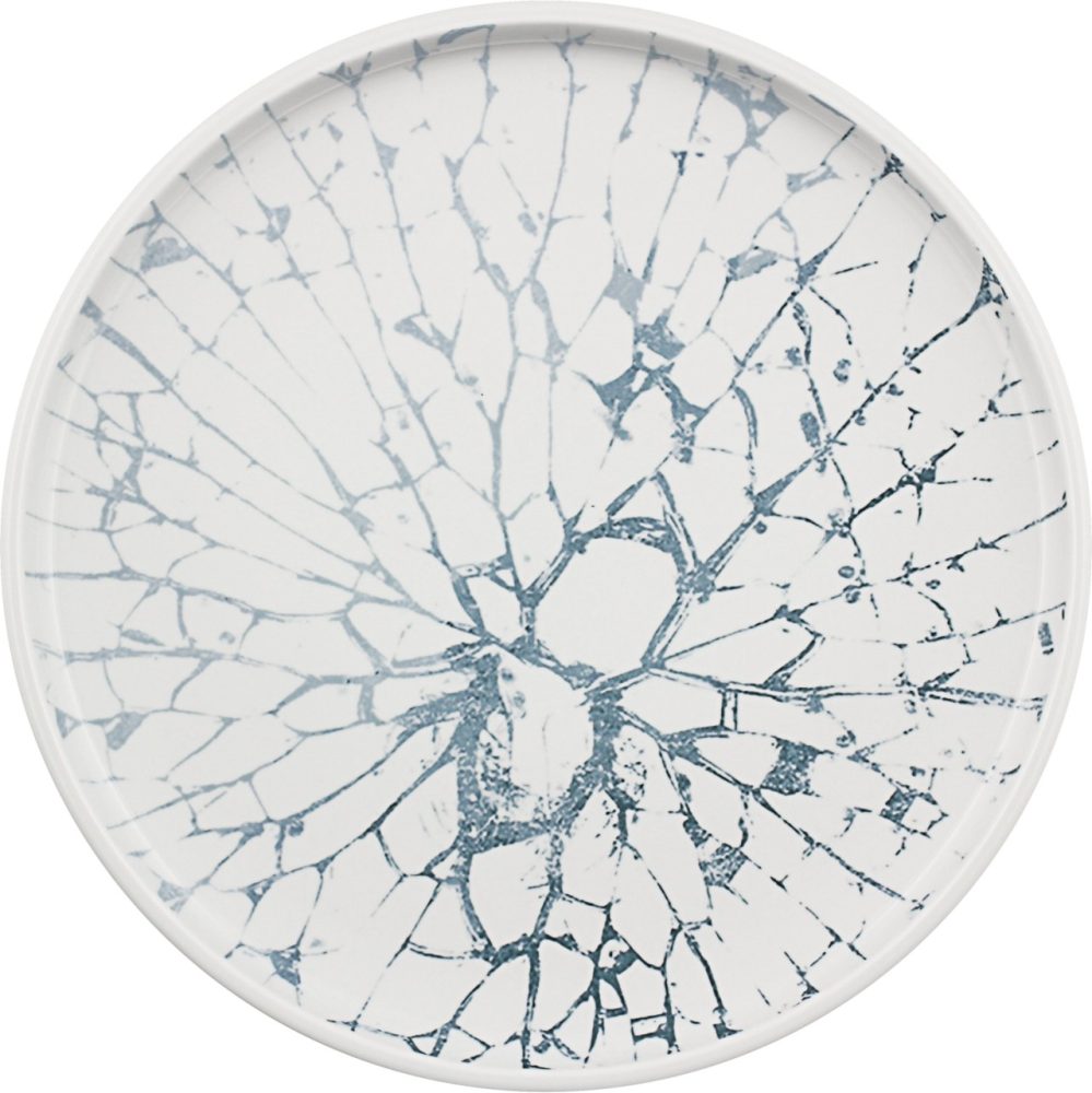 Shiro Cells 63153 Cells Frost Teller tief coupe glatt 28cm