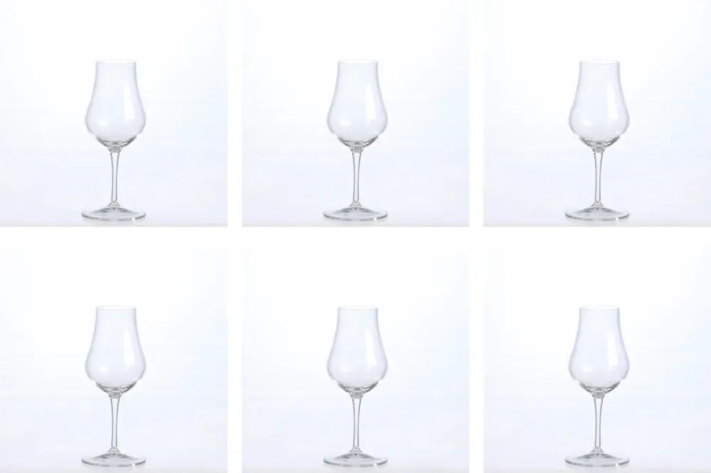 6er Set Vinoteque Snifter Spirits 17cl 2cl+4cl geeicht