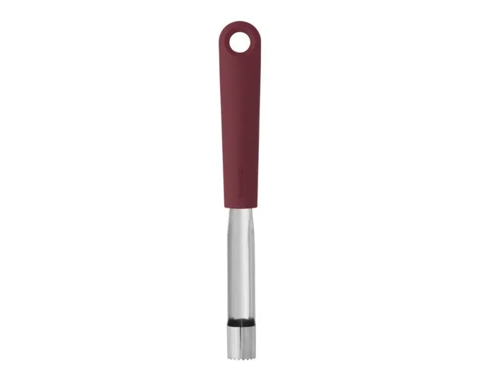 Apfelentkerner aubergine red