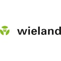 Wieland Electric 99.506.0000.7 Anschlussleitung Schwarz