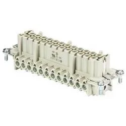Wieland Electric 70.300.2440.0 Buchseneinsatz BAS Gesamtpolzahl 24 + PE 1 St.