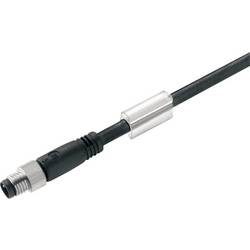 Weidmüller 2455040150 Sensor-/Aktor-Datensteckverbinder, konfektioniert M8 Stecker, gerade 1.5 m Polzahl: 5 1 St.