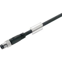 Weidmüller 2455040300 Sensor-/Aktor-Datensteckverbinder, konfektioniert M8 Stecker, gerade 3 m Polzahl: 5 1 St.