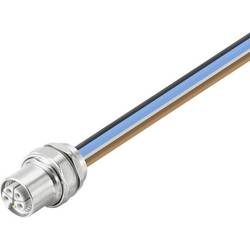 Weidmüller 2625970000 Sensor-/Aktor-Einbausteckverbinder M12 Buchse, gerade 0.3 m Polzahl: 5 1 St.