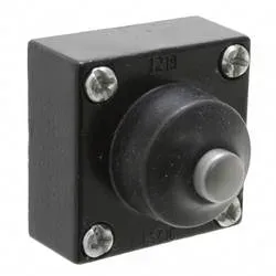 Honeywell SPS LSZ1C Endschalter 1 St.