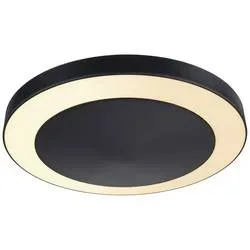 Paulmann Circula 94525 LED-Außendeckenleuchte 14 W Anthrazit
