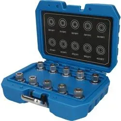 Felgenschloss-Sortiment für BMW, 10-tlg Brilliant Tools BT691290