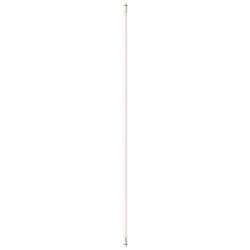Philips LED LED-Röhre EEK: B (A - G) G13 Röhrenform T8 20 W Neutralweiß (Ø x L) 28 mm x 1514 mm 1 St.