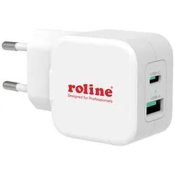 ROLINE USB Charger mit Euro-Stecker, 2 Port (Typ-A QC3.0, Typ-C PD), 20W