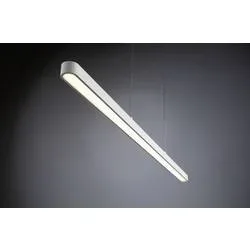 Paulmann Lento 79887 LED-Pendelleuchte LED LED fest eingebaut 13.5 W Weiß (matt)