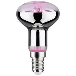 Paulmann LED-Pflanzenlampe Wachstum 230 V E14 4 W Bernstein 1 St.