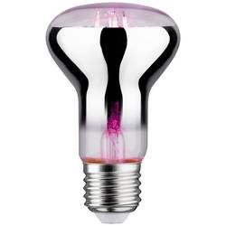 Paulmann LED-Pflanzenlampe Wachstum 230 V E27 6.5 W Bernstein 1 St.