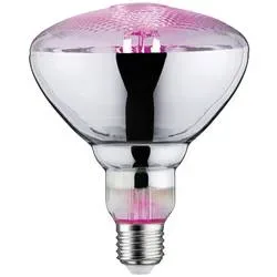 Paulmann LED-Pflanzenlampe Wachstum 230 V E27 6.5 W Bernstein 1 St.