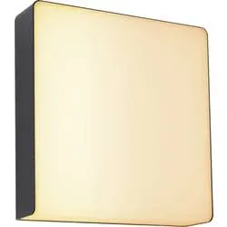 Paulmann LED-Außenwandleuchte mit Bewegungsmelder Azalena 8.5 W RGBW