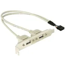 Delock Slotbracket 1x internal USB 5pin > 2x USB2.0 external PC-Slotblech 1 St.