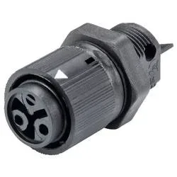 Wieland Electric 46.031.5054.1 Geräteanschluss