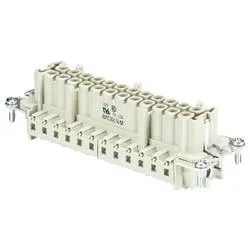 Wieland Electric 72.700.2458.0 Buchseneinsatz Gesamtpolzahl 22 10 St.
