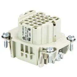 Wieland Electric 73.800.2453.0 Buchseneinsatz Gesamtpolzahl 24 5 St.