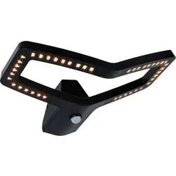 Paulmann Alara 94791 LED-Außenwandleuchte mit Bewegungsmelder LED 10 W Anthrazit