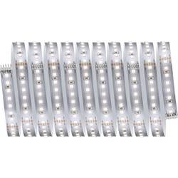 Paulmann MaxLED 1000 Basisset 71247 LED-Streifen-Basisset 230 3 m Neutralweiß 1 Set