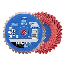PFERD TOOLS 42719831 Schleifscheiben-Set Durchmesser 75 mm Körnung (num)=120 10 St.