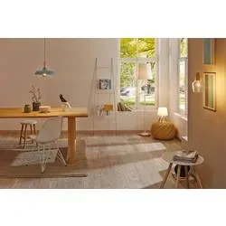Paulmann Neordic Juna 79655 Pendelleuchte LED E27 20 W Softgrün, Kupfer, Holz
