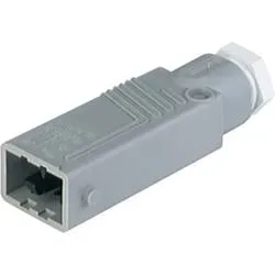 Hirschmann 931 692-106-1 Netz-Steckverbinder STAS Stecker, gerade Gesamtpolzahl: 5 + PE 6 A Grau 1 St.