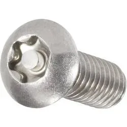 TOOLCRAFT 888776 Linsenkopfschrauben M4 20 mm T-Profil mit Stift Edelstahl A2 10 St.