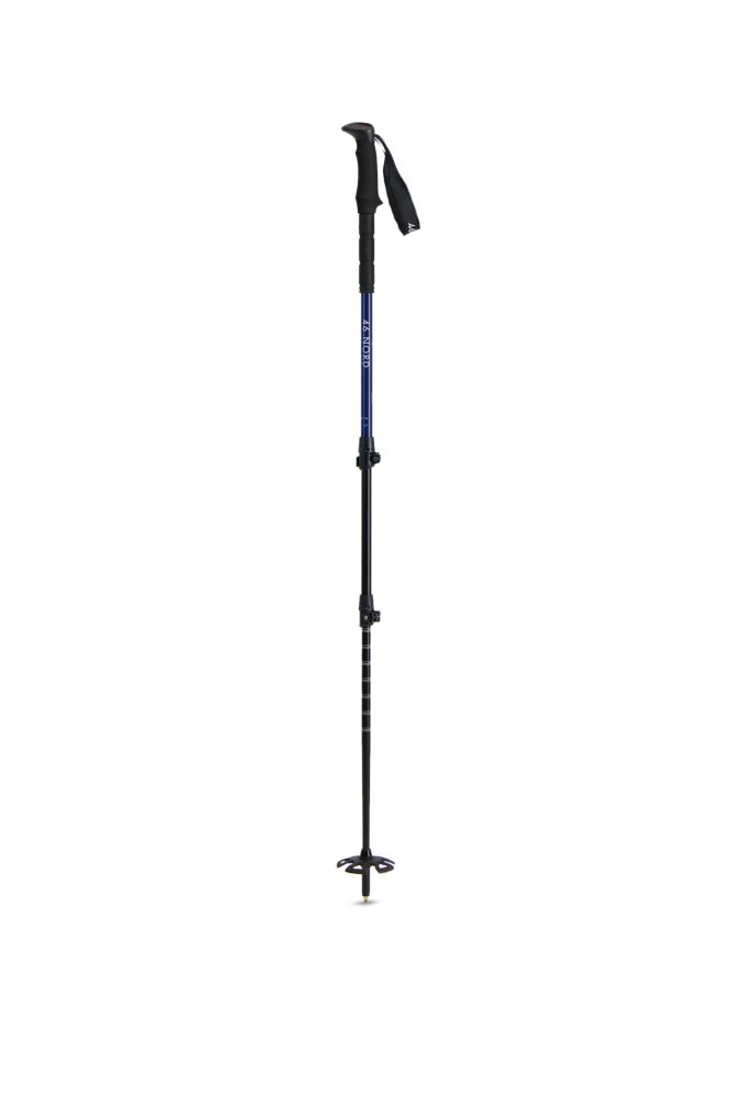 Trail Explorer Wanderstock