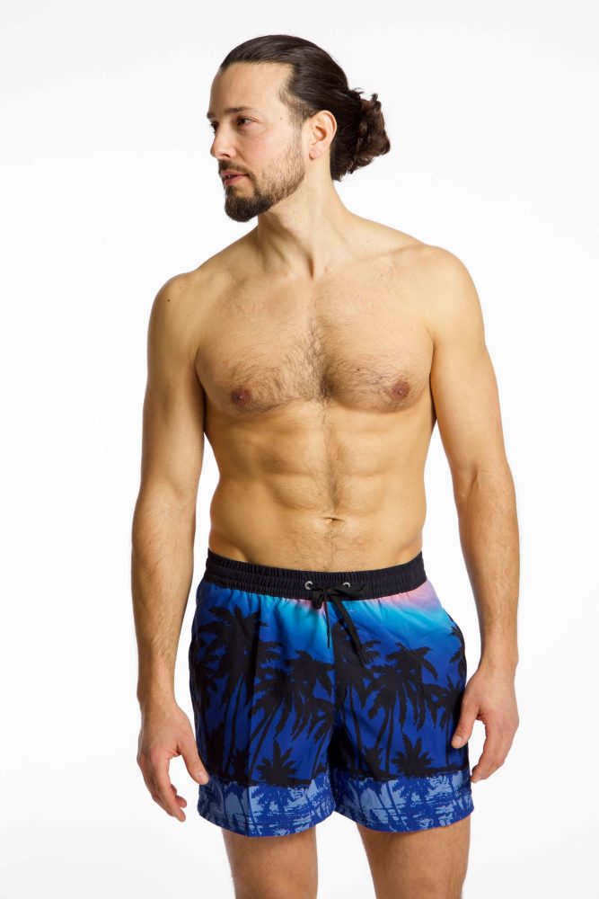 Quiksilver Everyday Printed Volley 15
