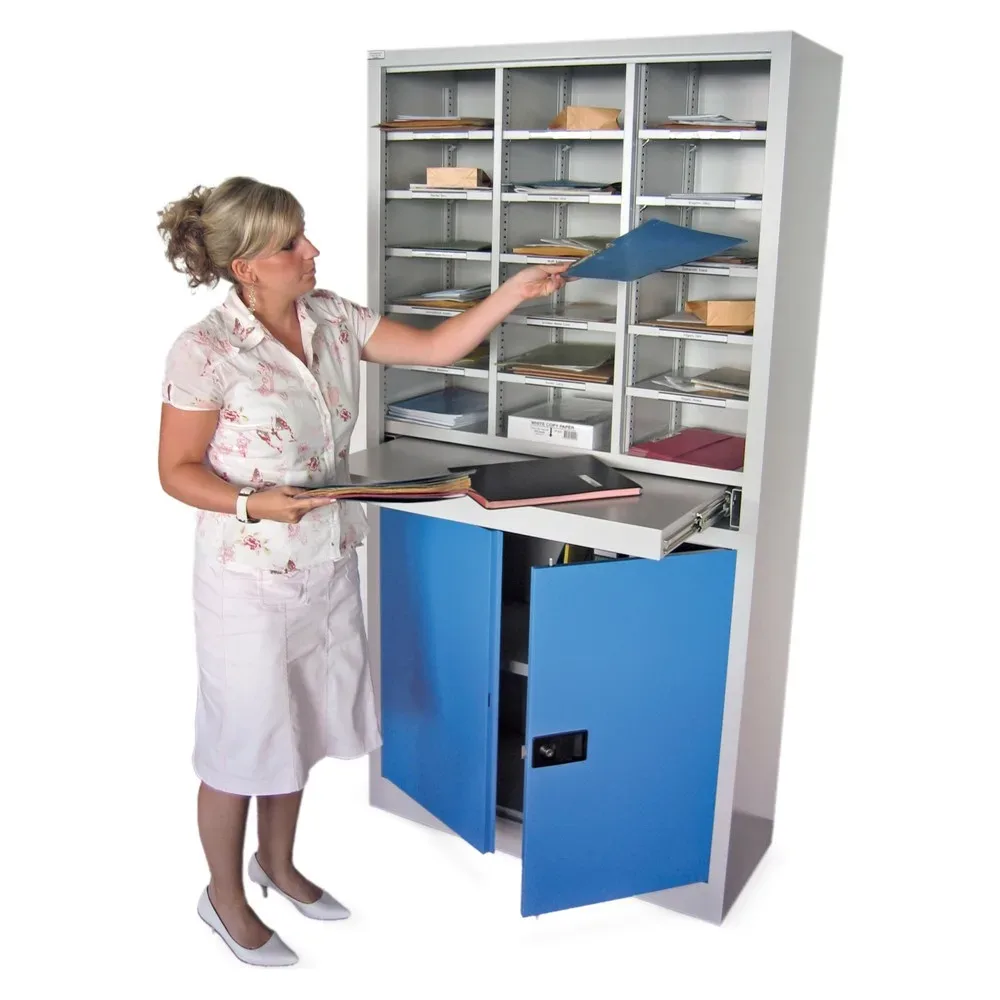 Ordnungs- und Sortierstation, mit Flügeltürschrank, lichtgrau / lichtgrau Pavoy