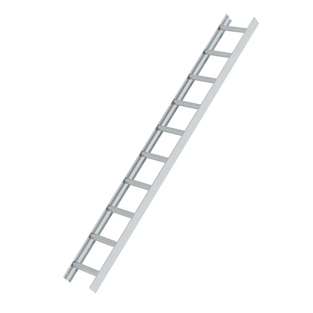 Munk Dachleiter Alu Natur 10 Sprossen