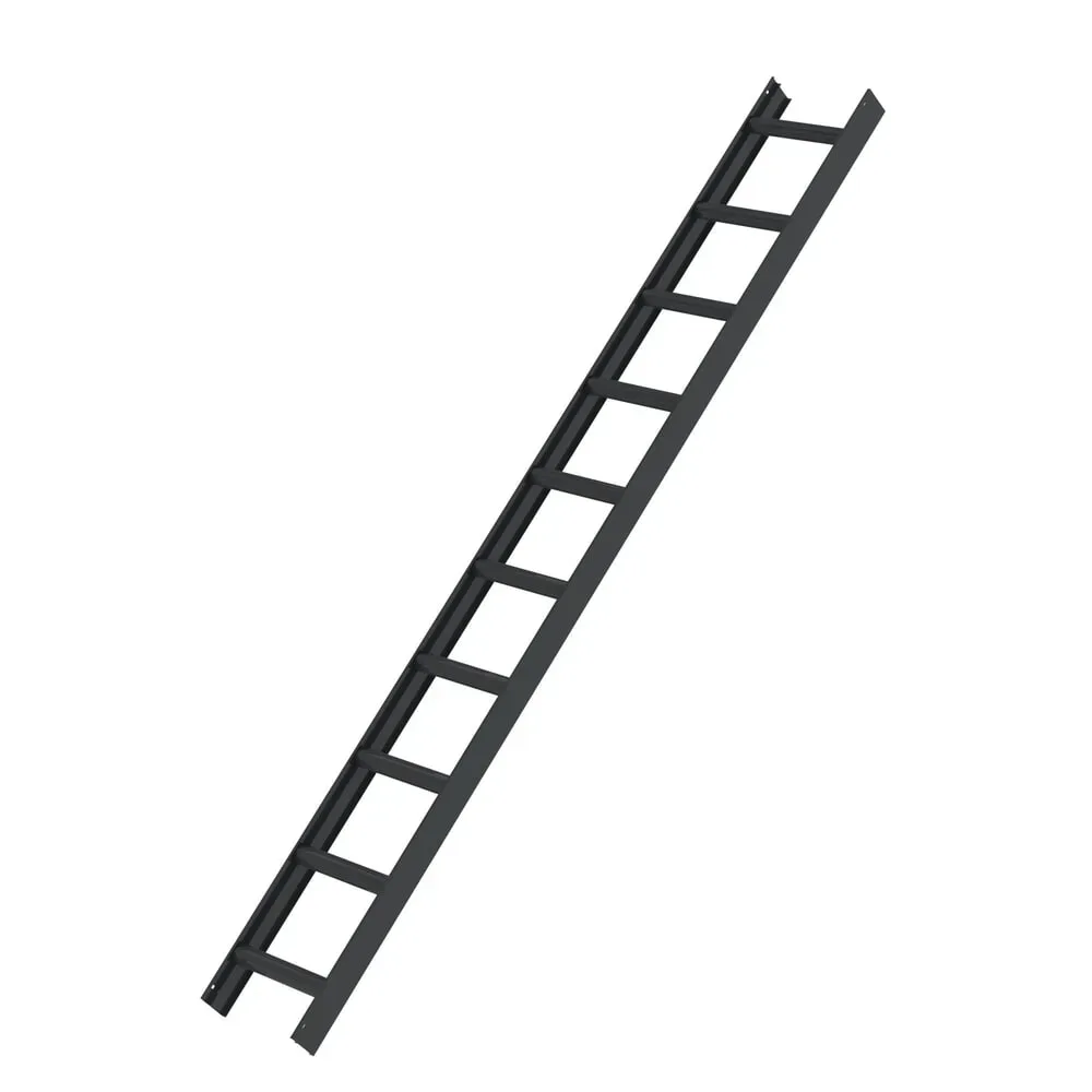 Munk Dachleiter Anthrazitgrau 10 Sprossen