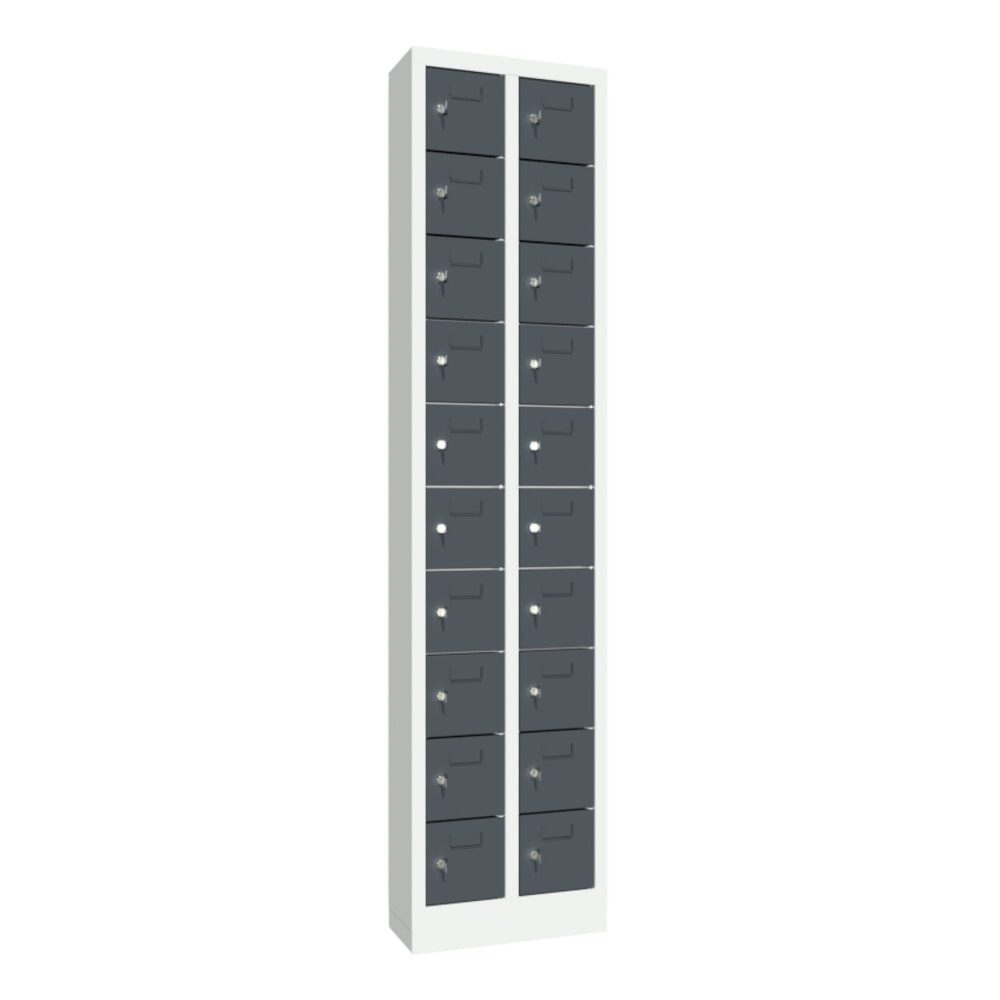 PAVOY Kleinfachschrank, 20 Fächer, HxBxT 1.950 x 460 x 200 mm, mit Etikettenrahmen, anthrazitgrau, lichtgrau