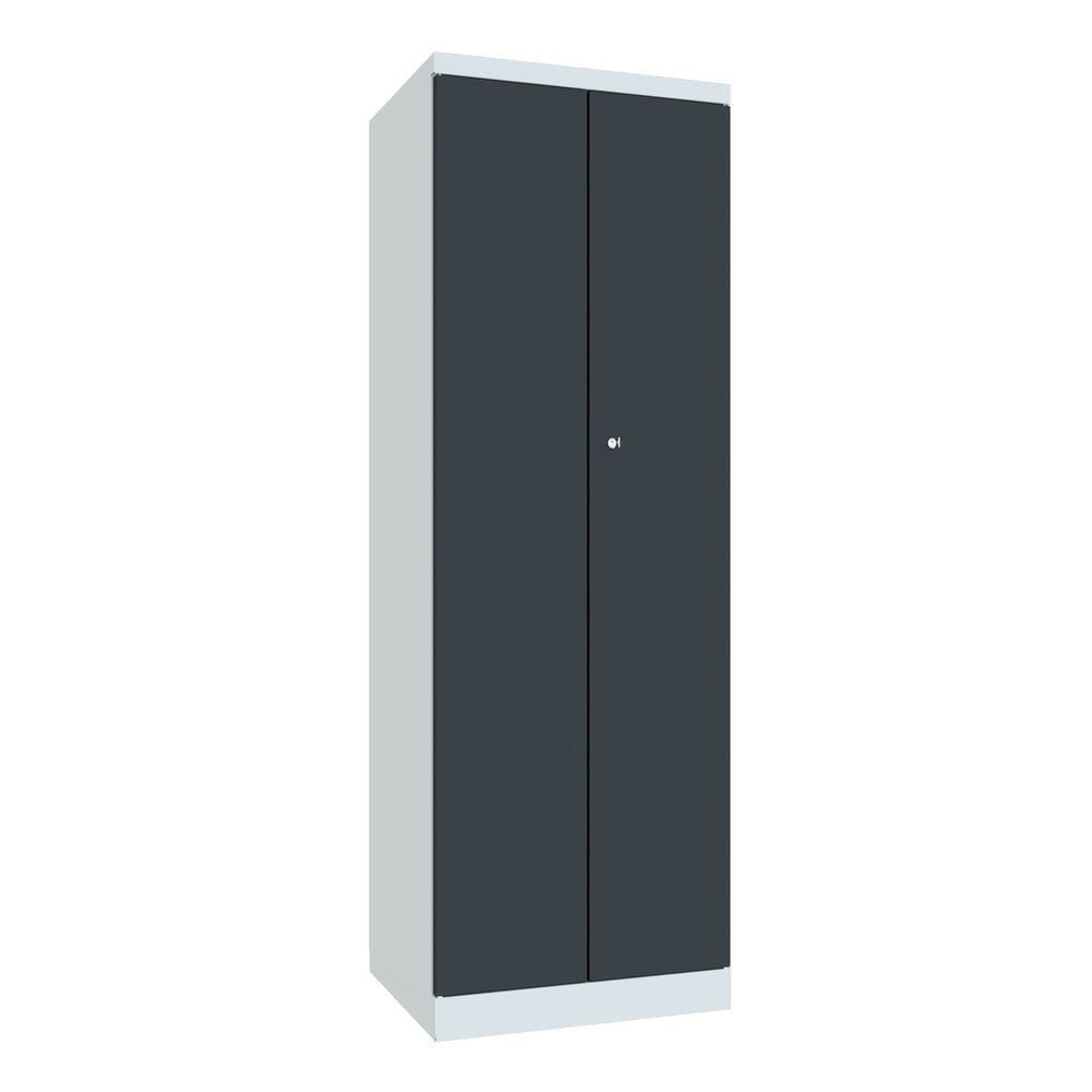 PAVOY Flügeltürschrank, HxBxT 1.800 x 600 x 500 mm, anthrazitgrau, lichtgrau
