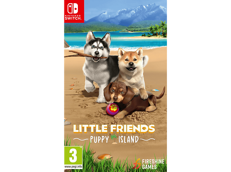 Spielesoftware 