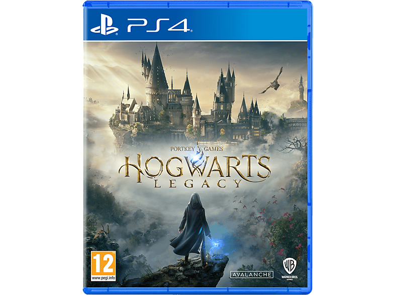 Spielesoftware 