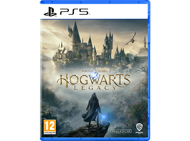 Spielesoftware 