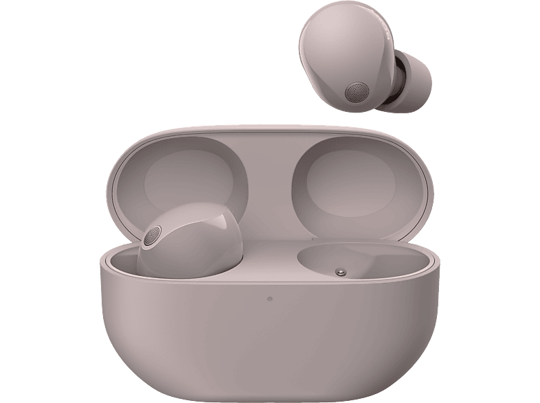 SONY WF-1000X M5, Bluetooth In-ear True Wireless Kopfhörer mit Premium Noise Cancelling, Smoky Pink