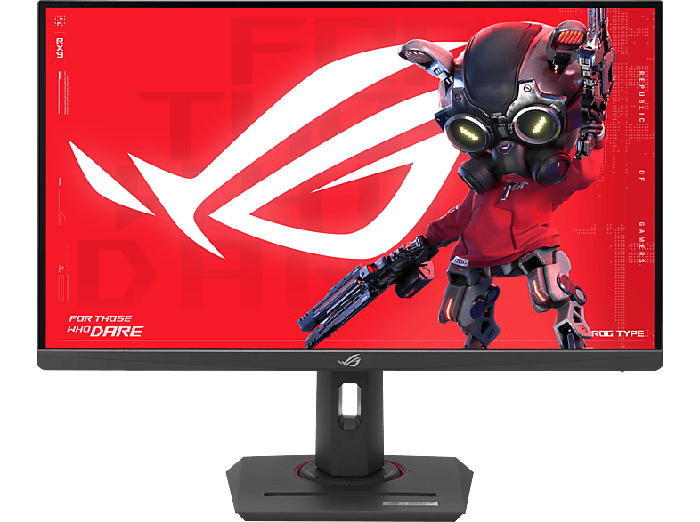 Asus Gaming-Monitor 