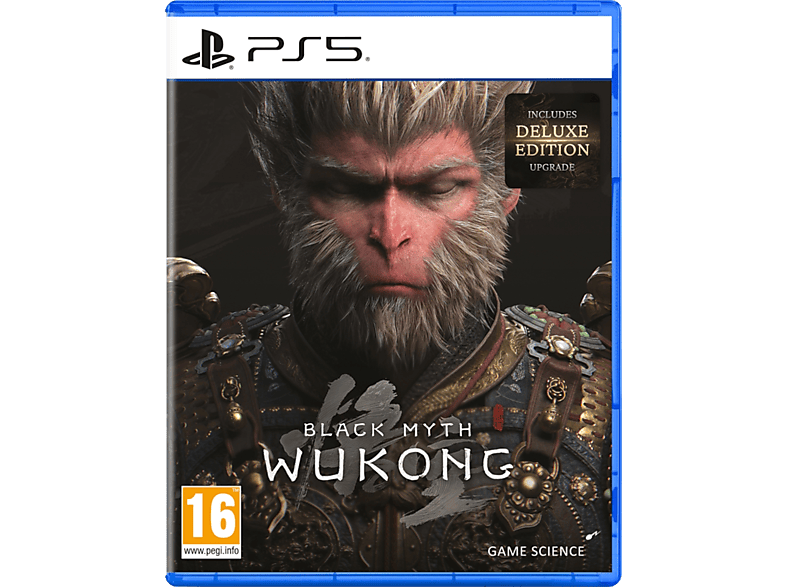 Spielesoftware 