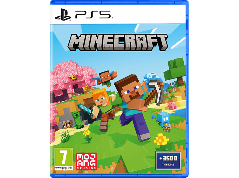 Spielesoftware 