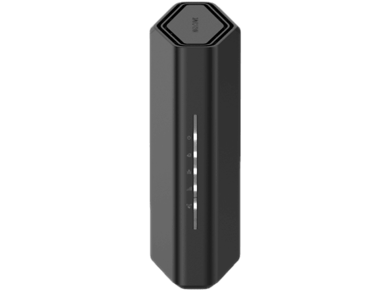 NETGEAR RS100-100EUS WLAN-Router – LAN & WLAN Router – schwarz